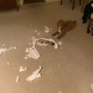 Meet your Posher, Stephen